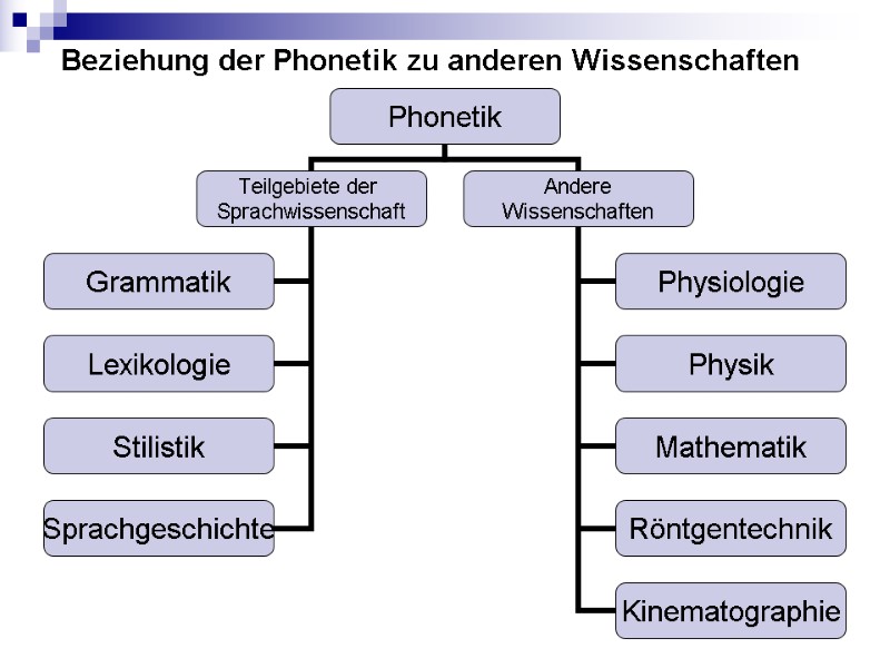 Beziehung der Phonetik zu anderen Wissenschaften